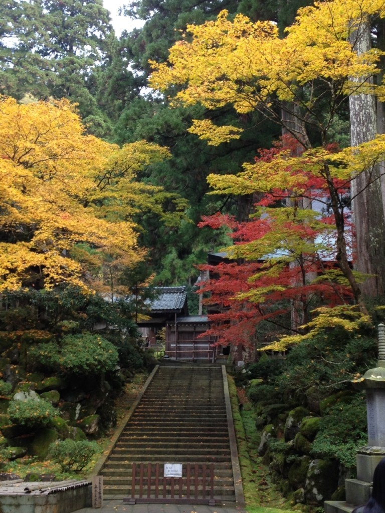 秋の永平寺1