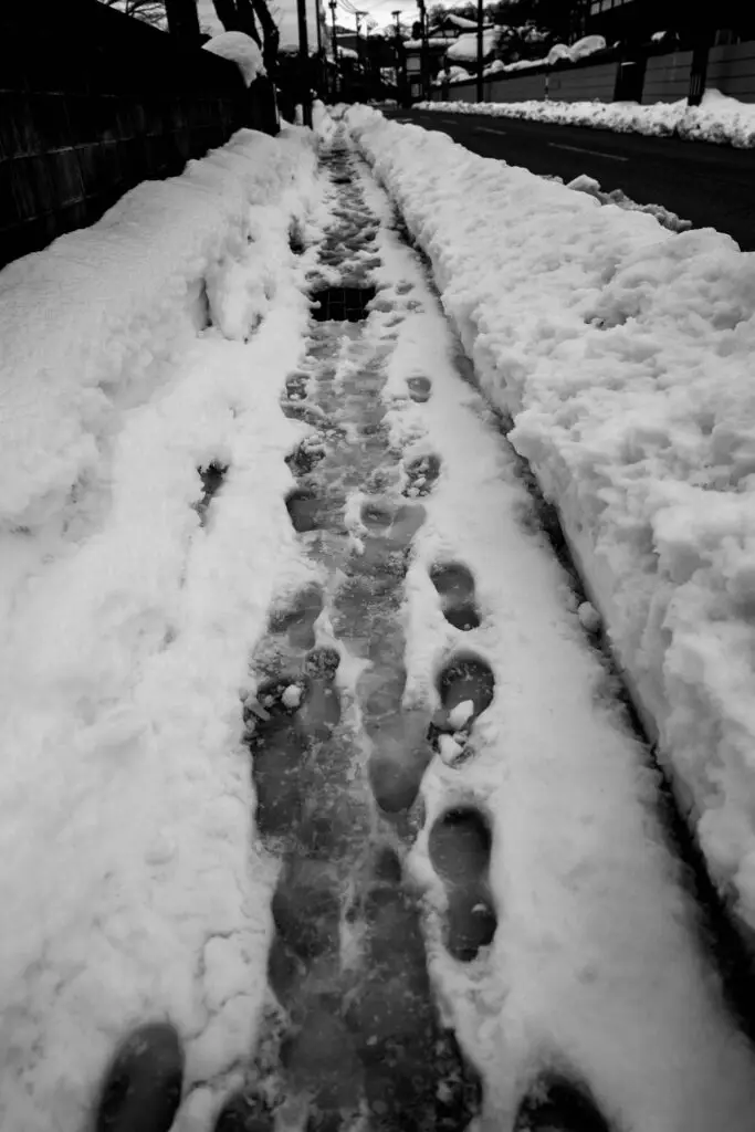 それぞれの、道
